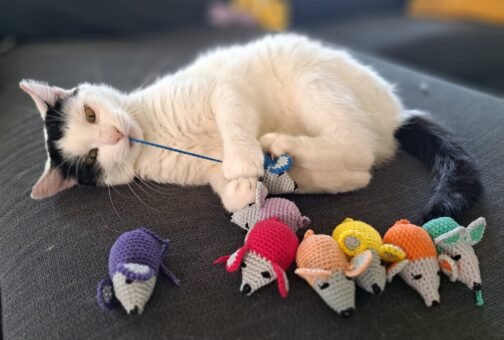 Kattenspeeltje Muisje Geel - Afbeelding 3