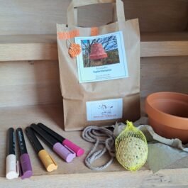 Knutselpakket Bloempotje met vogelbol