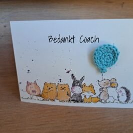 Kaartje Met Gehaakt Detail - Bedankt Coach Team